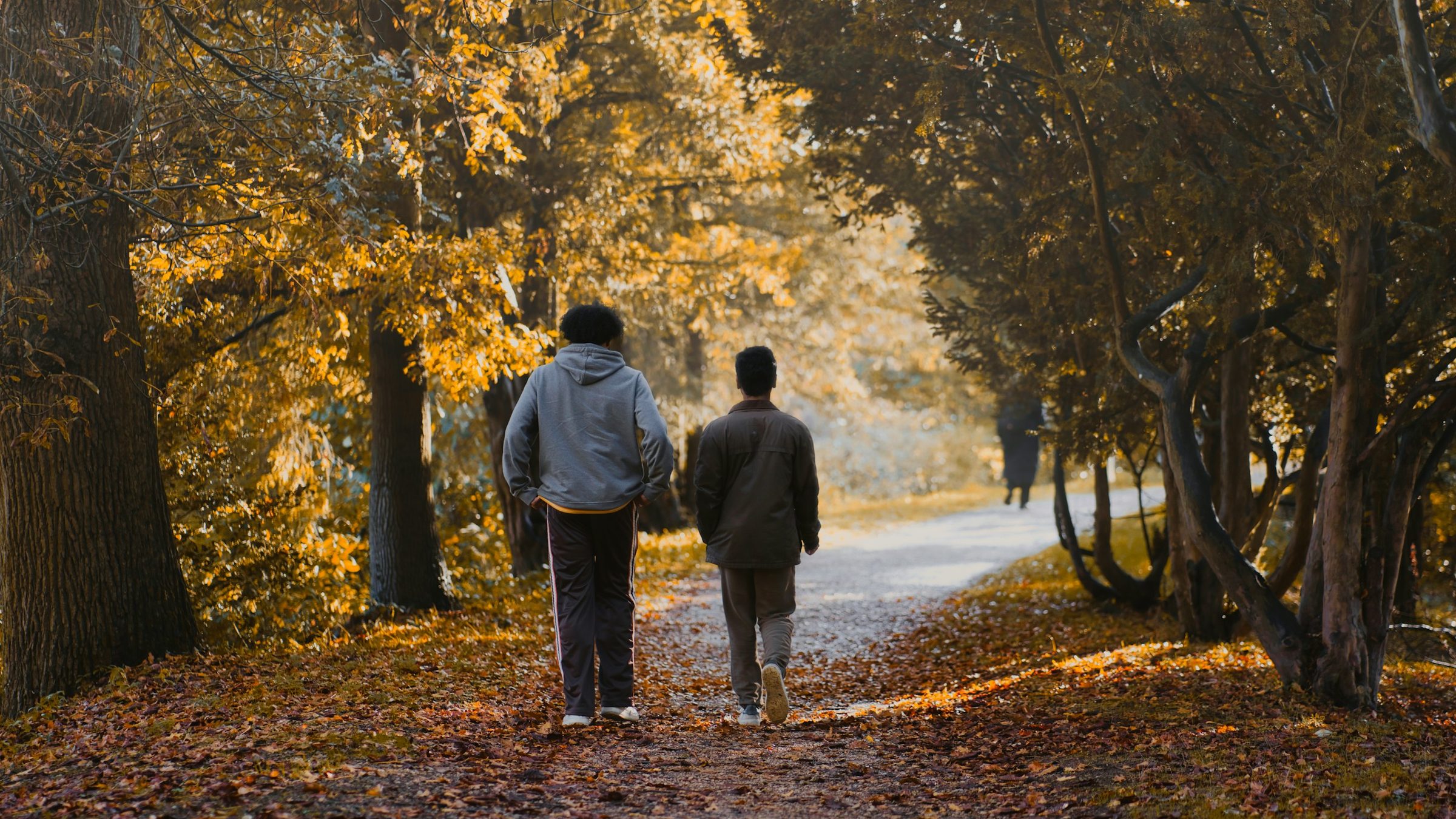 Two figures walking away along a path beneath autumn trees